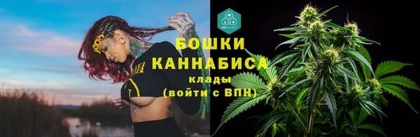 мдпв Ладушкин