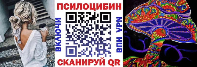 где купить наркотик  Мелеуз  Галлюциногенные грибы Cubensis 